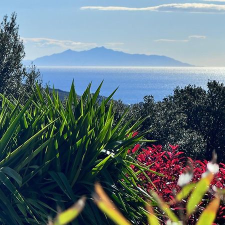 Gite Independant Dans Villa Entre Mer Et Maquis Sisco Exterior foto